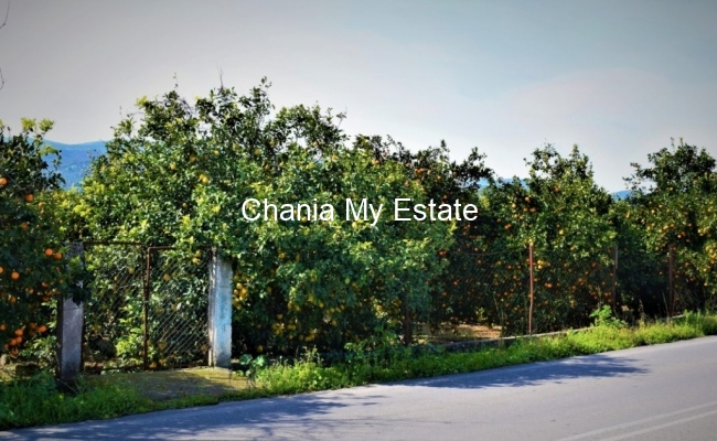 Plot for sale in Fournes, Chania