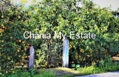 Plot for sale in Fournes, Chania