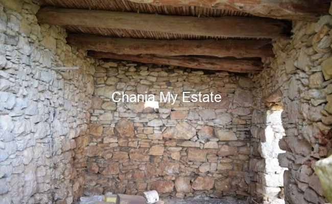 Traditional house needs renovation