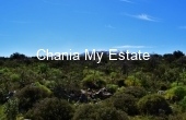 Plot for sale in Xirosterni, Apokoronas Chania