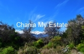 Plot for sale in Xirosterni, Apokoronas Chania