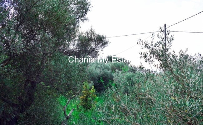 Plot for sale in Akrotiri, Chania