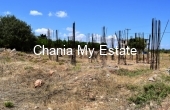 Plot for sale in Akrotiri, Chania