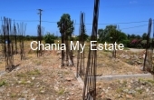 Plot for sale in Akrotiri, Chania