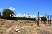 Plot for sale in Akrotiri, Chania