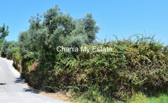 Business property for sale in Nea Kydonia, Chania