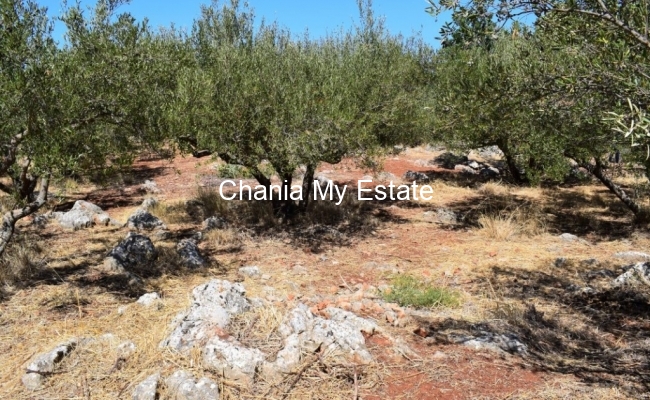 Plot for sale in Apokoronas, Chania