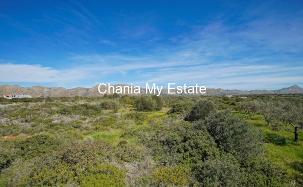 Plot for sale in Akrotiri, Chania 