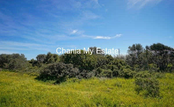 Plot for sale in Akrotiri, Chania 