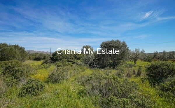 Plot for sale in Akrotiri, Chania 