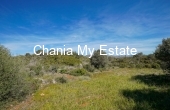 Plot for sale in Akrotiri, Chania 