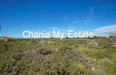 Plot for sale in Akrotiri, Chania 