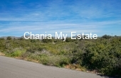 Plot for sale in Akrotiri, Chania 