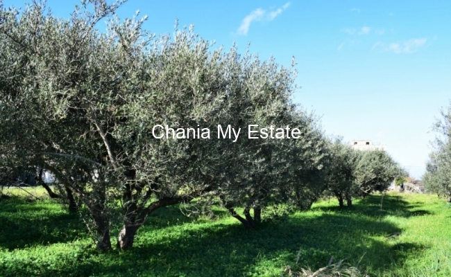 Plot for sale in Platanias, Chania, Crete