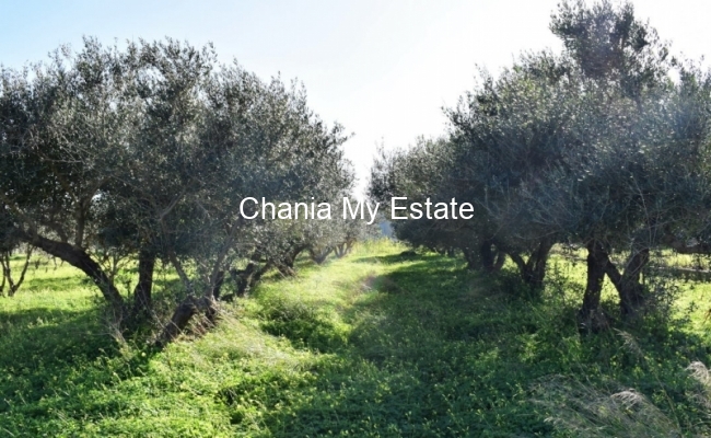 Plot for sale in Platanias, Chania, Crete