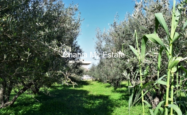 Plot for sale in Platanias, Chania, Crete