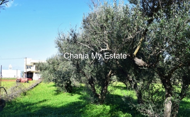 Plot for sale in Platanias, Chania, Crete