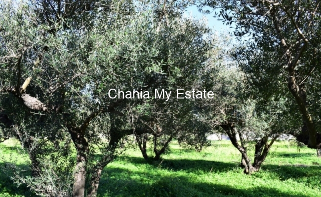 Plot for sale in Platanias, Chania, Crete