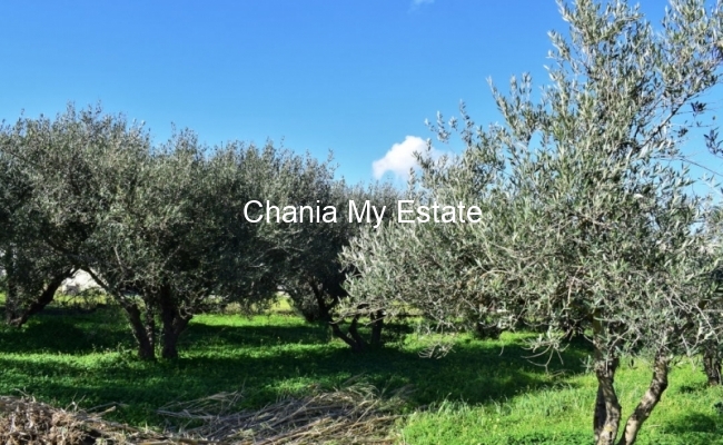 Plot for sale in Platanias, Chania, Crete