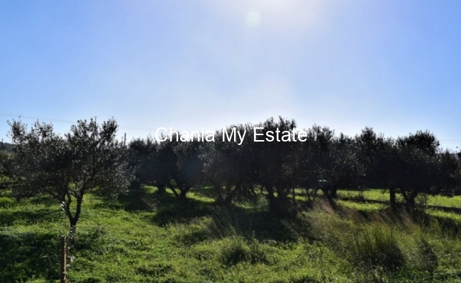 Plot for sale in Platanias, Chania, Crete