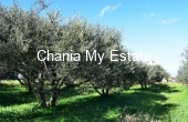 Plot for sale in Platanias, Chania, Crete