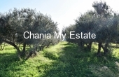 Plot for sale in Platanias, Chania, Crete