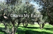 Plot for sale in Platanias, Chania, Crete