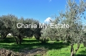 Plot for sale in Platanias, Chania, Crete