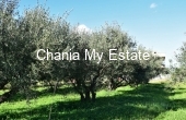 Plot for sale in Platanias, Chania, Crete