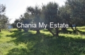 Plot for sale in Platanias, Chania, Crete