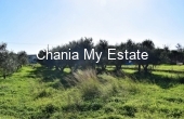 Plot for sale in Platanias, Chania, Crete