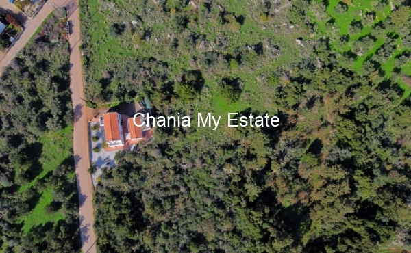 Plot Aerial View