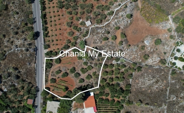 Plot aerial view