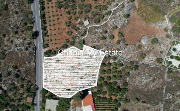 Plot aerial view