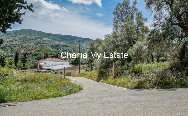 House and road view