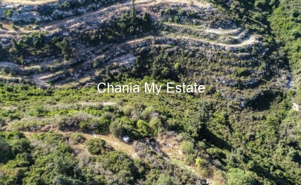 Plot Aerial View