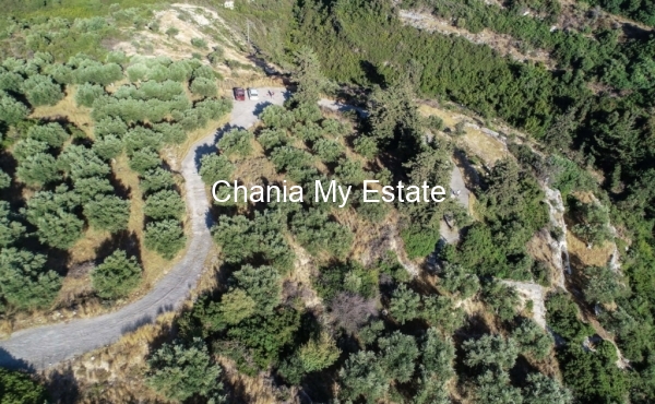 Plot Aerial View