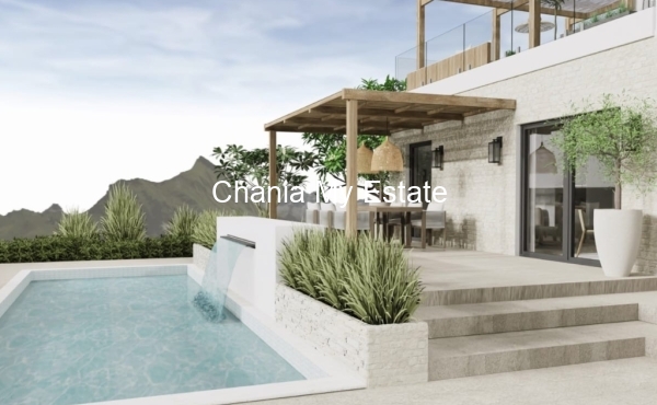 House front view with pool, 3D visual plan.